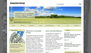 Composite Energy Image
