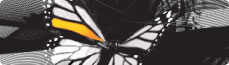 Image relating to 'Design' solution