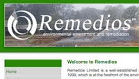 Remedios Web Site Redesign