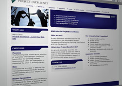 Project Excellence Web Site